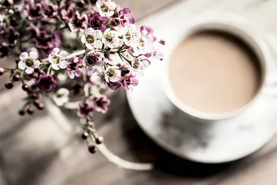 Картинки доброе утро чашка кофе весна (69 фото) » Картинки и статусы про  окружающий мир вокруг
