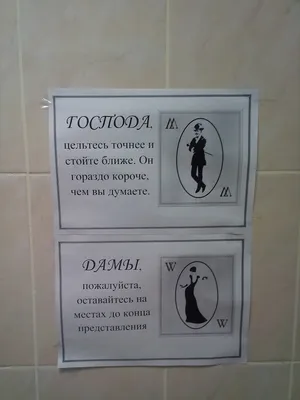 Самые прикольные надписи в туалете! | ФОТО ПРИКОЛЫ | Дзен