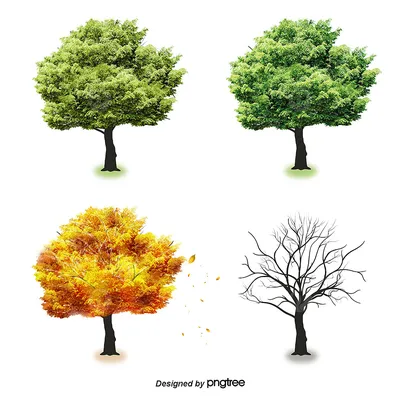 Дерево на 4 сезонах: весна, лето, осень, зима Иллюстрация вектора -  иллюстрации насчитывающей листво, весна: 118470153