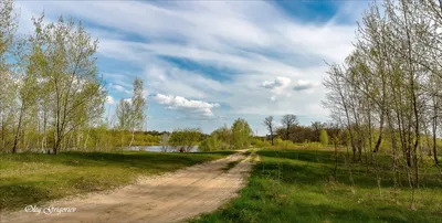 Домик в деревне. Фотограф Лидия Киприч