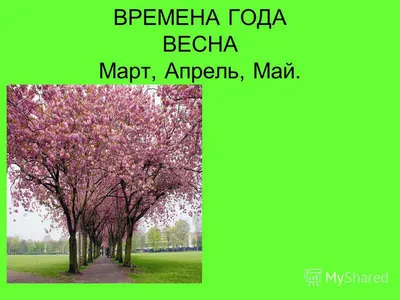 Wonderful seasons - Весна - март, апрель, май. Природа начинает пробуждение  после зимней спячки, начинается период роста и цветения растений. | Facebook