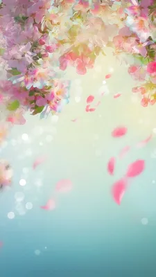 весна-цветы-обои-розовый-цветущий-цветы-телефон-обои-синий-фон | Spring  wallpaper, Spring flowers wallpaper, Flower phone wallpaper