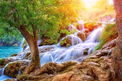 Фотообои Водопад на рассвете купить на стену • Эко Обои