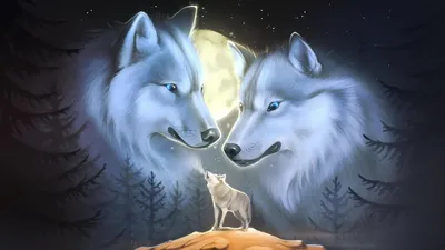 волчья волчица в осеннем лесу. серый волк в естественной среде Стоковое  Изображение - изображение насчитывающей конец, фауна: 225154847