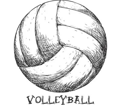 Волейбол Sticker Sport, волейбол, белый, этикетка, текст png | PNGWing