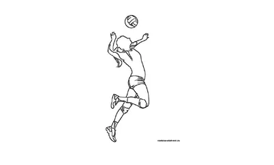 Эскиз. волейбол - две девушки играют в мяч - изолированные на картины на  стену • картины молодой, женщина, белый | myloview.ru