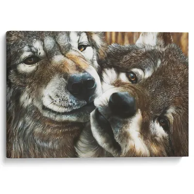 Волк и волчица... нежная любовь, …» — создано в Шедевруме