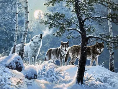Волк в лесу зимой гоница за лисой» — создано в Шедевруме