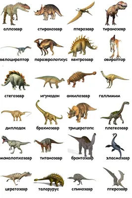 Картинки всех видов динозавров фотографии