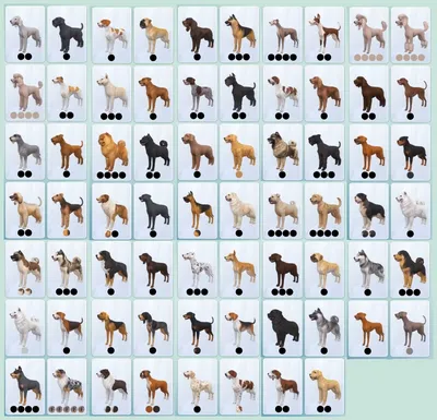 Список всех пород из дополнения «The Sims 4: Кошки и собаки»