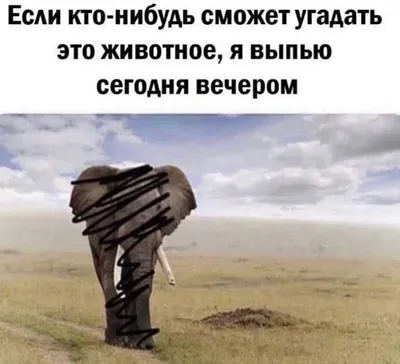 выходныепришли #счастьеесть | TikTok