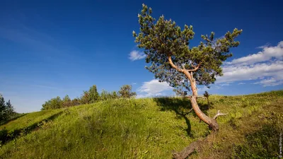 Обои разрешения, высокого, природы, раздел Природа, размер 1920х1080 full  HD - скачать бесплатно картинку на рабочий стол и телефон