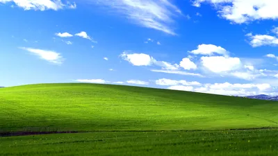 Картинки windows xp на рабочий стол фотографии