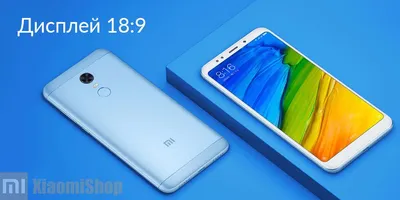 You can buy the Redmi 5 and Redmi 5 Plus in Malaysia. All priced under  RM800 - SoyaCincau