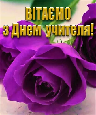 День вчителя в Україні 2023 – вітання українською мовою та красиві листівки  привітання