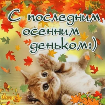С Последним Днем Осени! Красивое музыкальное поздравление Прощай, Осень! -  YouTube