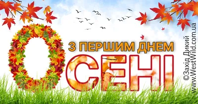 Завтра в Україні буде останній теплий день цієї осені - Кіровоград 24:  Портал про місто