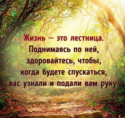 Смешные картинки с надписью про жизнь | Цитата про путешествия, Цитаты,  Правдивые цитаты