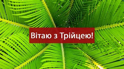 Вітаємо з Зеленими святами. | Нео-сервіс