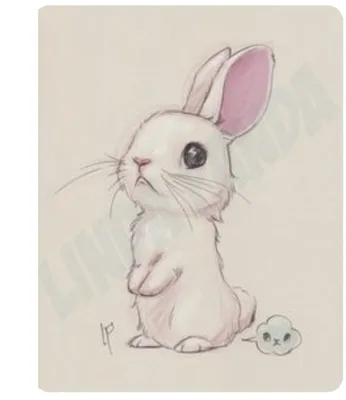 Отель Cartoon домашнего животного для рисования зайчиков кроликов каракули  Kawaii иллюстрации вектора красивого прекрасного редакт Иллюстрация вектора  - иллюстрации насчитывающей жизнерадостно, иллюстрация: 178316888