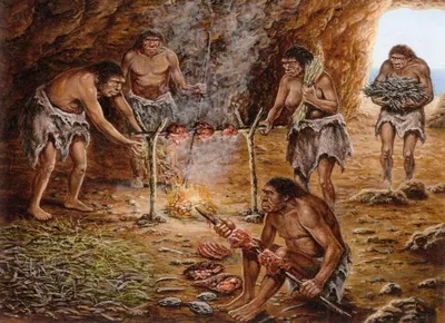 50 интересных и любопытных фактов о древних людях — Общенет