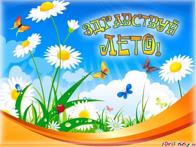 Здравствуй, лето! | Библиотеки Архангельска