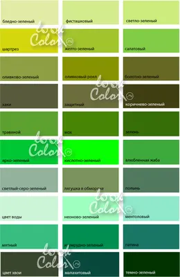 оттенки зеленого | Зеленый, Цветовые схемы красок, Оттенки зеленого