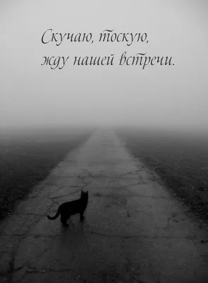 Светлана Лобода на всю аудиторию попросила прощения, но вина на других -  ЗНАЙ ЮА