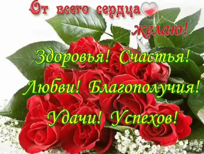 Желаю здоровья, счастья и благополучия! — Бесплатные поздравления |  бесплатные стикеры и подарки в Одноклассниках | Постила