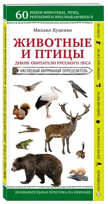 Животные леса\" | Удоба - бесплатный конструктор образовательных ресурсов