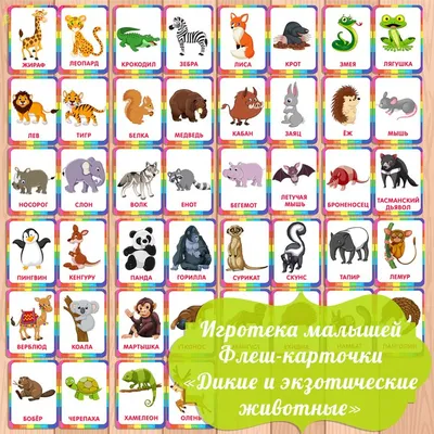 картинки животных для детей с названием скачать для распечатки | Животные,  Животные австралии, Для детей