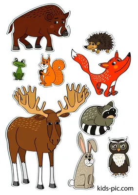 шаблоны животных для вырезания из бумаги распечатать формат а4 лесные звери  | Животные, Шаблоны животных, Дети