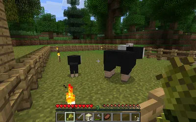 Как построить ферму для животных в Minecraft? | BlueStacks