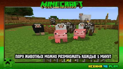 Animals for Minecraft – скачать приложение для Android – Каталог RuStore