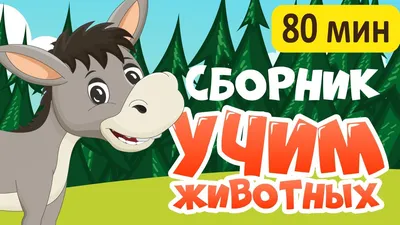 10 малоизвестных или забытых хороших мультфильмов | Пикабу