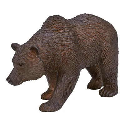 Жуткие кадры: голодный медведь в Сочи наведывается на дачи и ест домашних  животных - 3 декабря 2023 - sochi1.ru