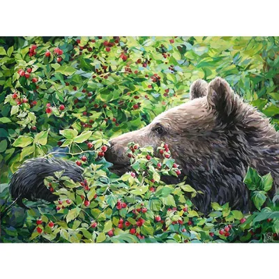 Бурый медведь портрета в конце леса вверх. Диких животных в естественной  среде обитания Стоковое Фото - изображение насчитывающей европейско,  шерсть: 213337244