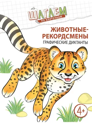 Рисуем по клеточкам. Домашние животные. Зайцев В.Б. купить за 76 рублей -  Podarki-Market