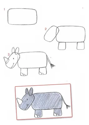 Пошаговый рисунок животных карандашом - 65 фото