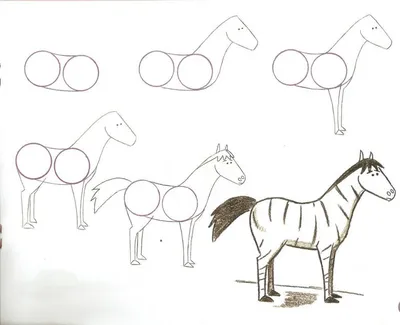 Как рисовать животных карандашом поэтапно уроки рисования