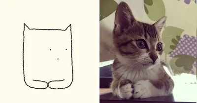 Картинка с котом, который просто смотрит вперёд — Картинки и авы | Смешные  животные, Юмор о собаках, Кошки