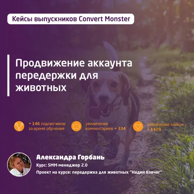 Приложение VK Тотемное животное - «Нашла еще одно классное приложение  Вконтакте с преображением. Каждый день с нетерпением создаю новые образы» |  отзывы