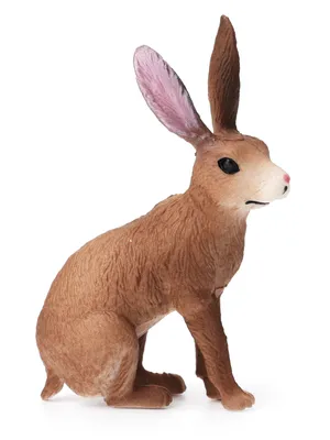 Скрещивание животных, заяц и козёл» — создано в Шедевруме