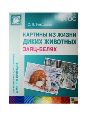 Картины из жизни диких животных Заяц-беляк Николаева купить по цене 300 р.