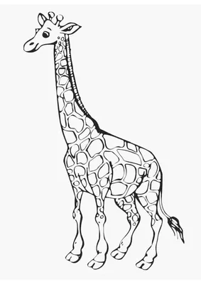 Высокое качество индивидуального саду животных Жираф смола статуи - Китай  Жираф статуи и скульптуры животных цена