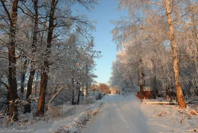 Деревня в Коми / зима деревня закат