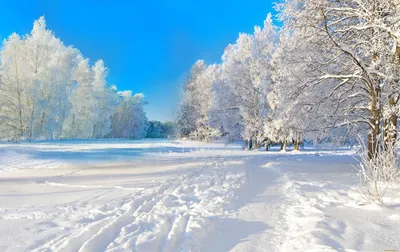 Обои \"Зима и Новый год\" на рабочий стол: самые яркие!