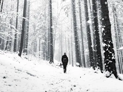 Зима одиночество (45 фото) - 44 фото