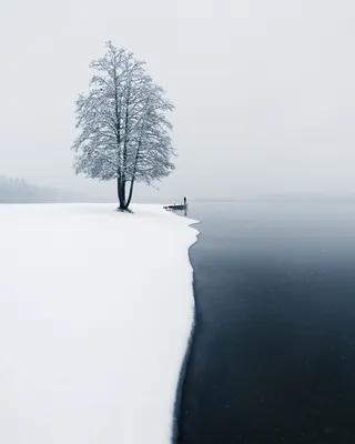 Зима Скамейка Одиночество - Бесплатное фото на Pixabay - Pixabay