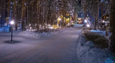 обои : ночь, снег, Зима, Рождество, день отдыха, Новый год, Снеговики,  приветствие 4961x3508 - - 579871 - красивые картинки - WallHere